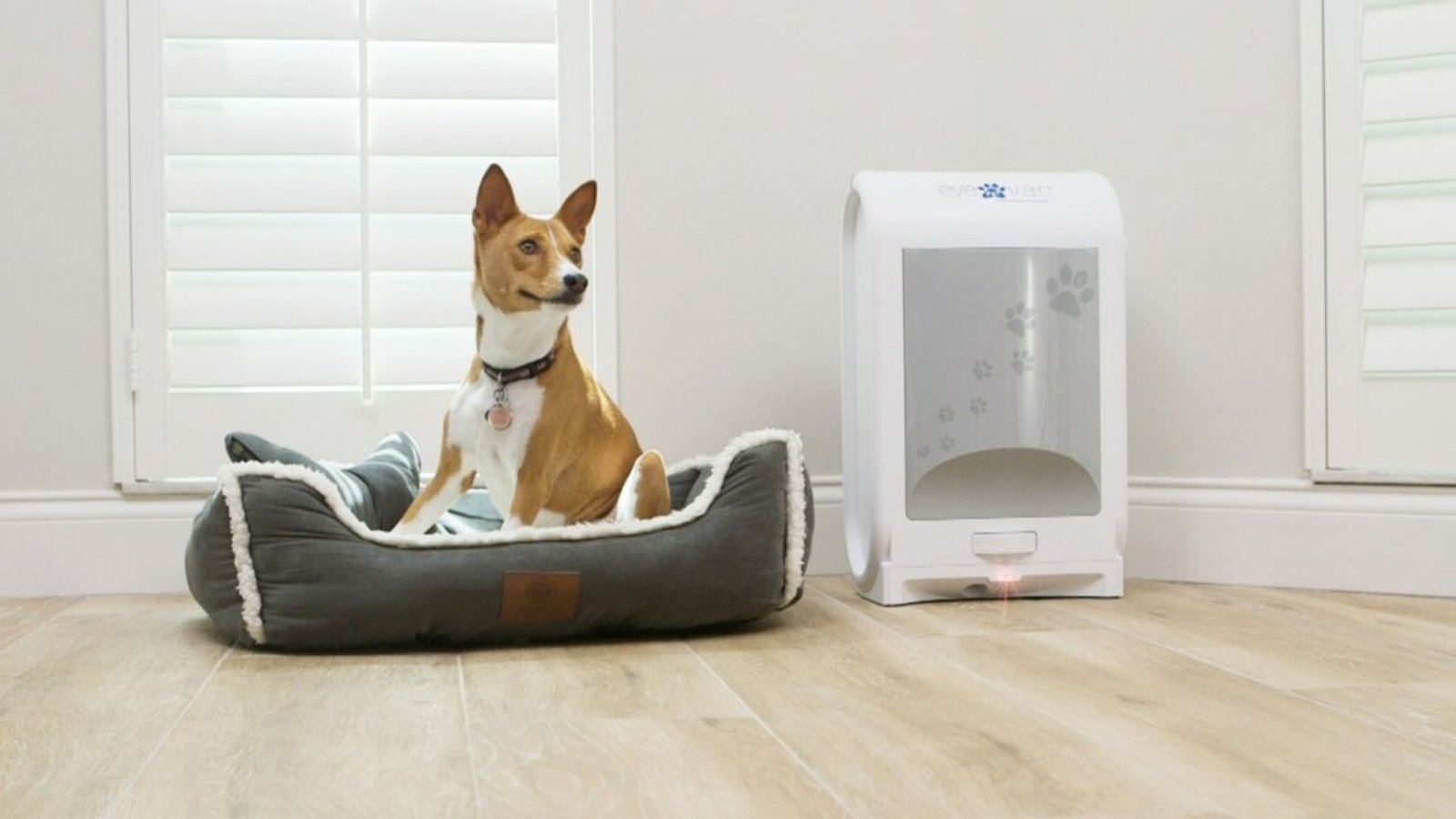 Smart Pet Feeders